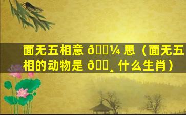 面无五相意 🐼 思（面无五相的动物是 🕸 什么生肖）